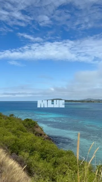 Une côte verdoyante domine une mer turquoise sous un ciel bleu.