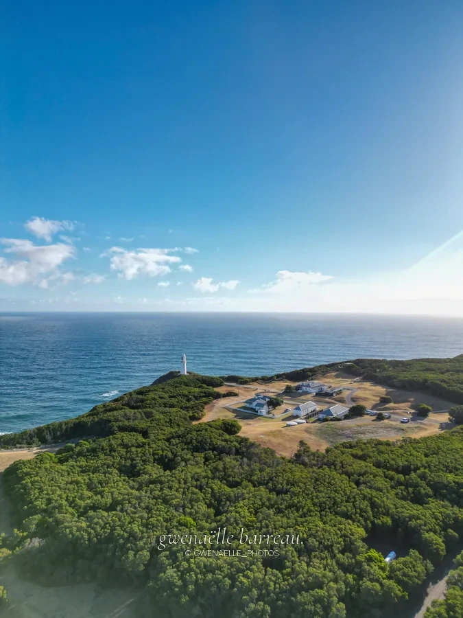 Promontoire couvert de végétation au bord de l'océan, sous un vaste ciel bleu.