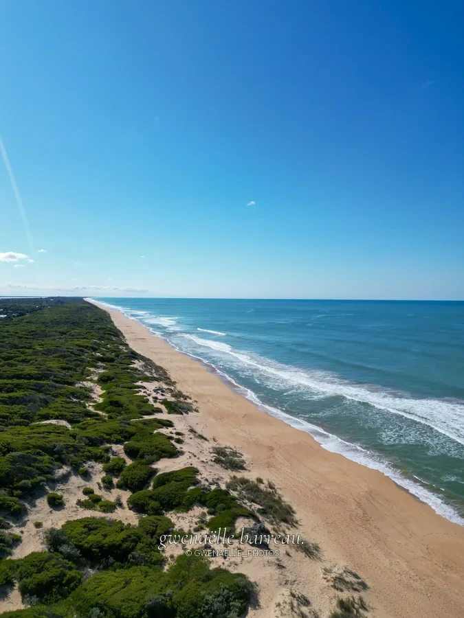 Longue plage de sable entre végétation côtière et océan bleu.
