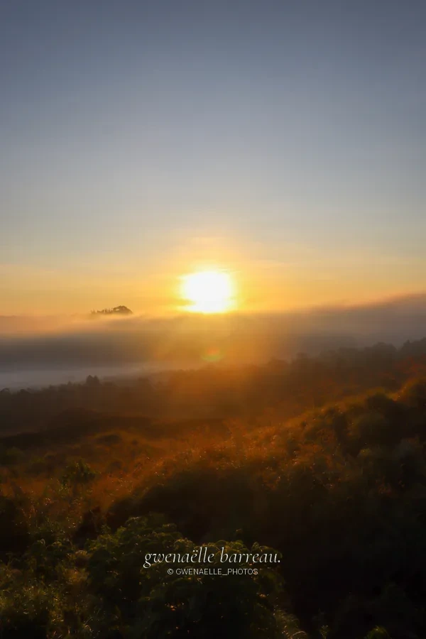 Soleil bas au-dessus d'un paysage boisé enveloppé de brume.