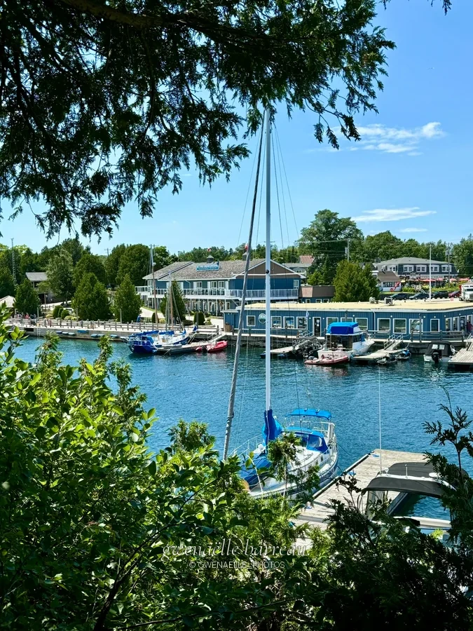 Petit port et bateaux vus à travers un feuillage dense.