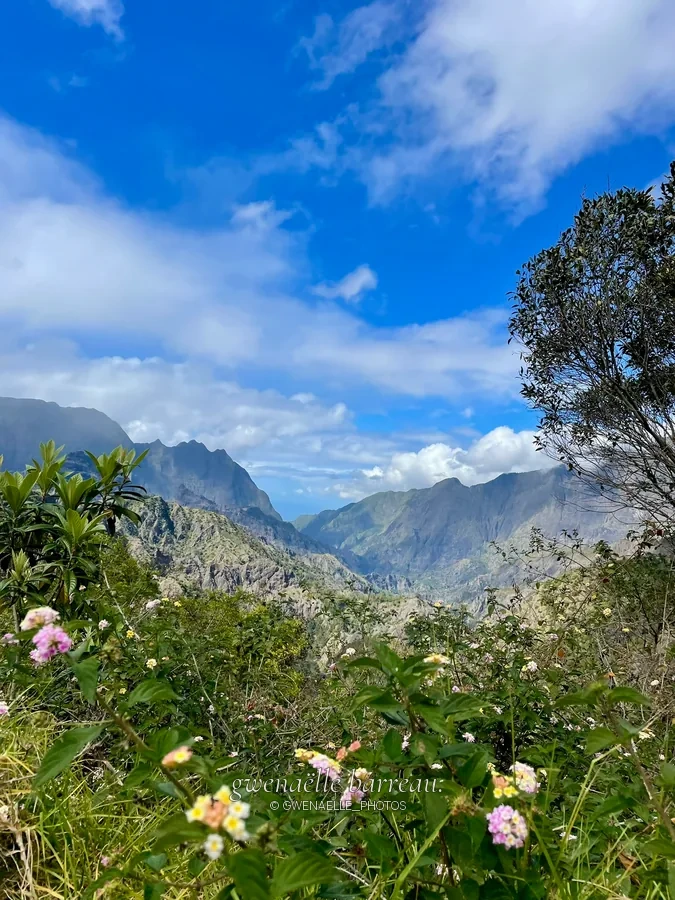 Fleurs et végétation au premier plan devant de hautes montagnes.