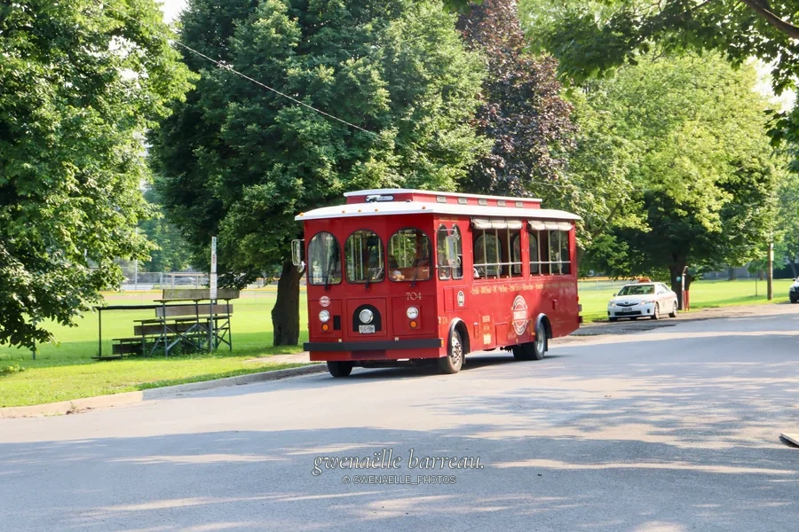 Petit autobus rouge circulant le long d'un parc arboré.