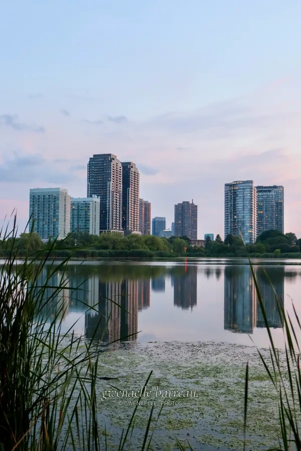 Immeubles reflétés dans une étendue d'eau calme derrière des roseaux.