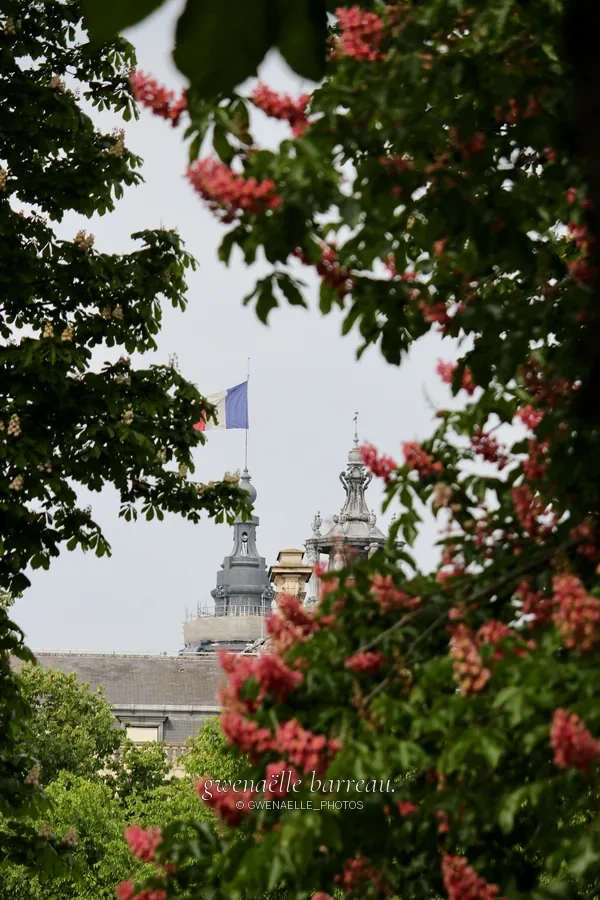 Fleurs rouges et feuillage encadrant des monuments lointains.
