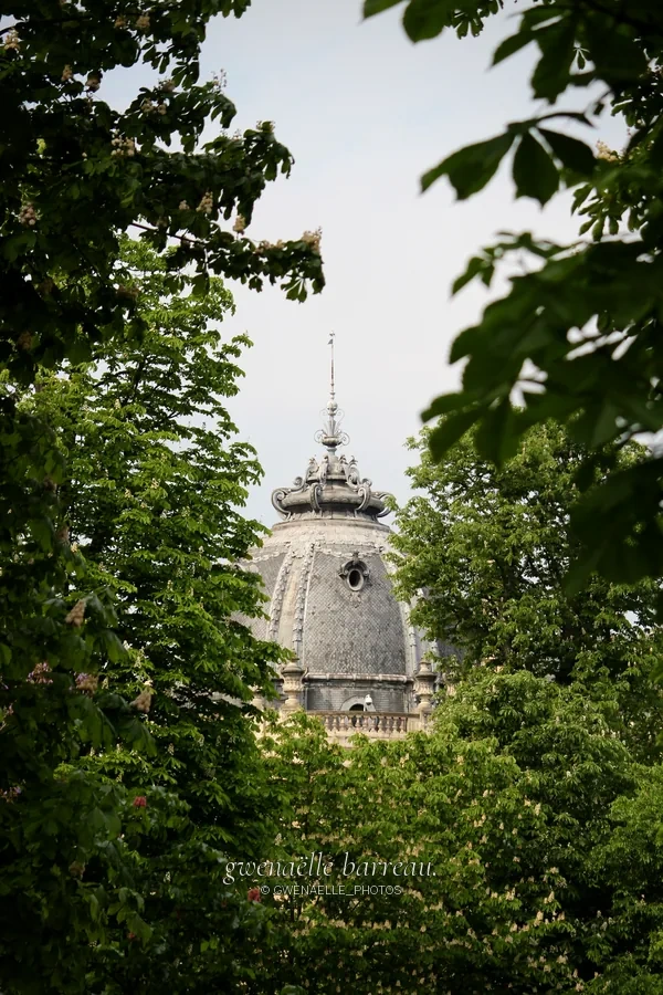 Dôme de pierre aperçu entre des branches et des feuilles.