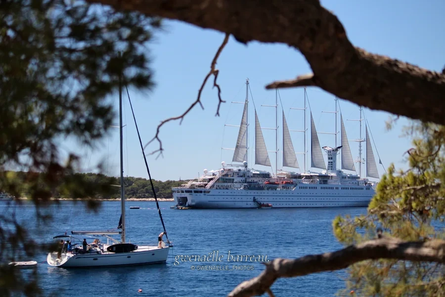 Grand voilier blanc et petit bateau encadrés par des branches au bord de l'eau.