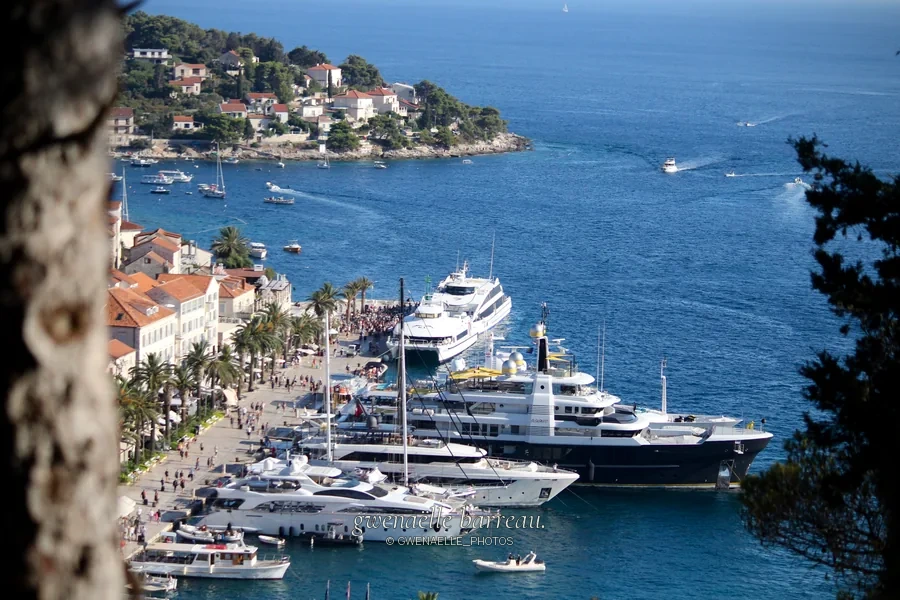 Yachts amarrés dans une baie bordée de maisons, vus entre les arbres.