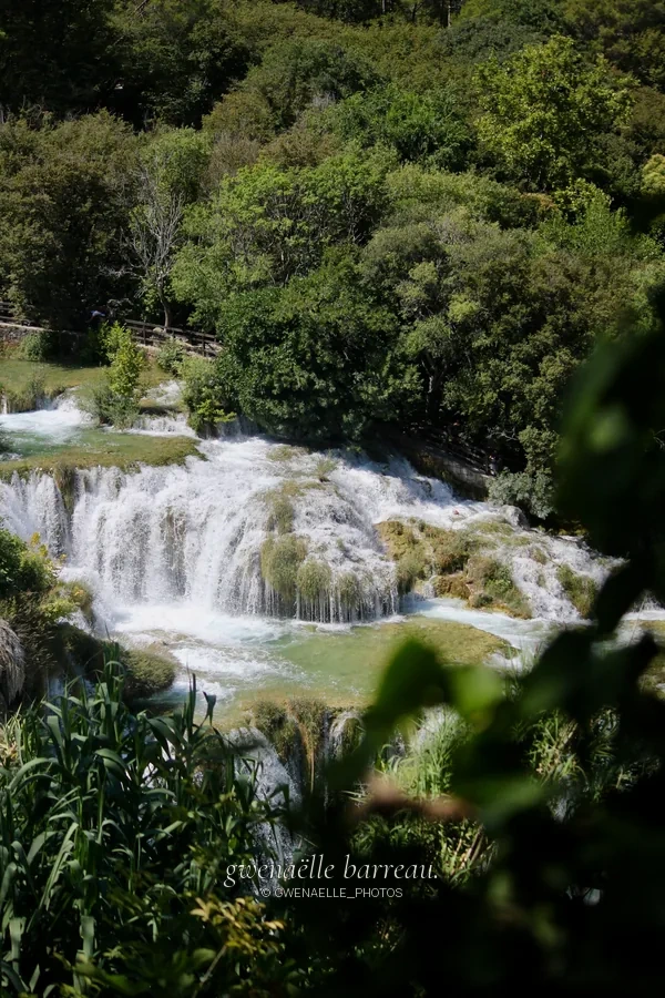 Cascades en gradins entourées d'une végétation dense.