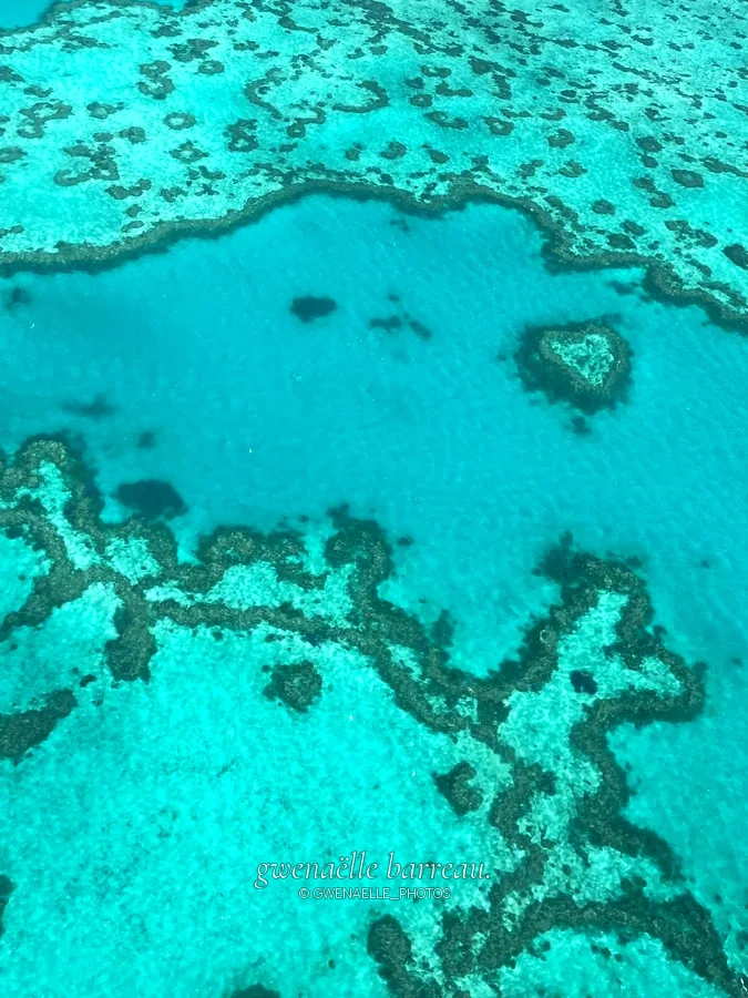 Motifs sombres d'un récif dans une mer turquoise, vus du ciel.