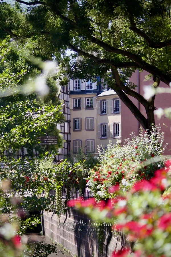 Maison claire et fleurs le long d'un canal sous les branches d'un arbre.
