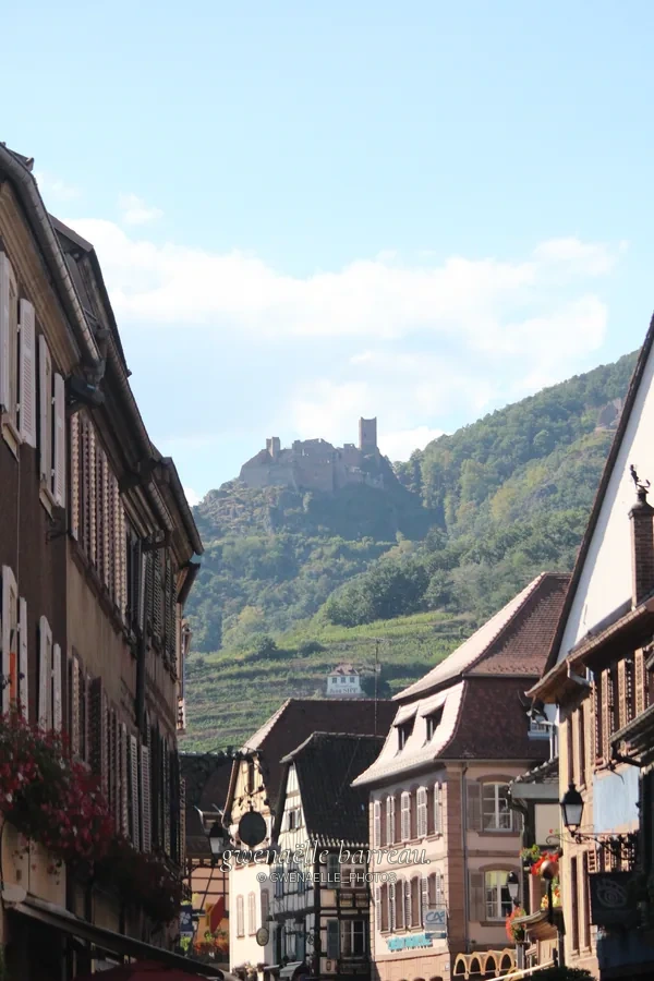 Rue bordée de maisons à colombages sous un château perché sur une colline.
