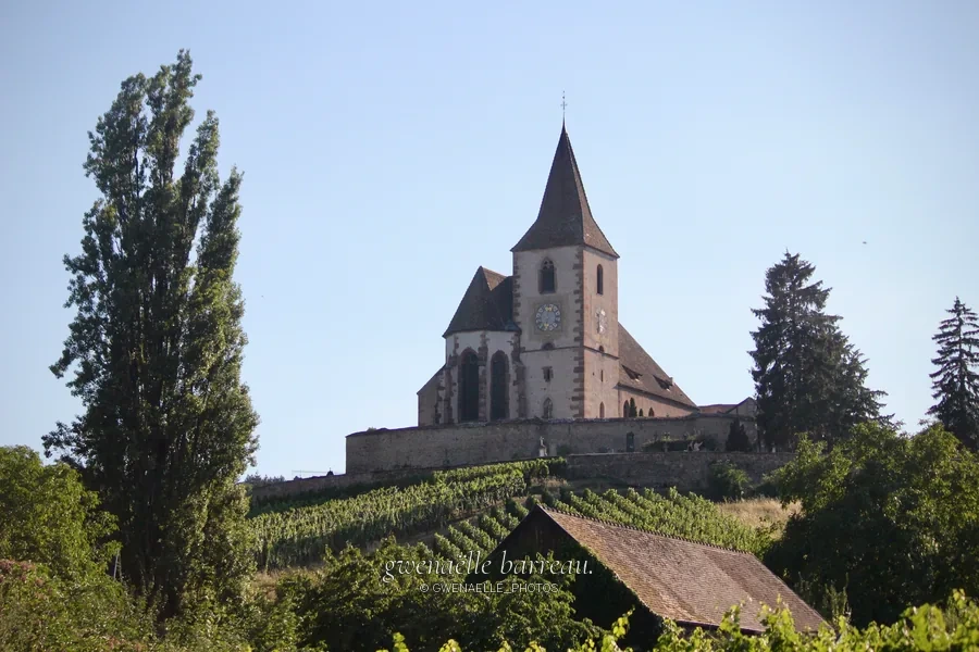 Église de pierre et son clocher au-dessus de vignes en pente.