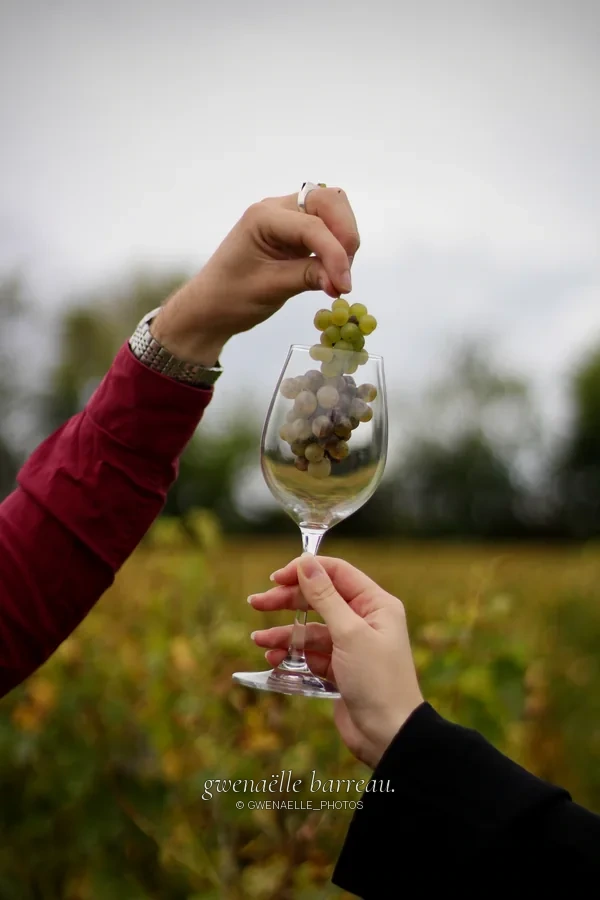 Mains présentant une grappe de raisins au-dessus d'un verre devant des vignes.