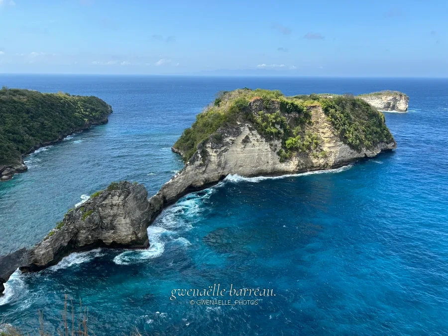 Promontoire rocheux couvert de végétation avançant dans une mer bleu profond.