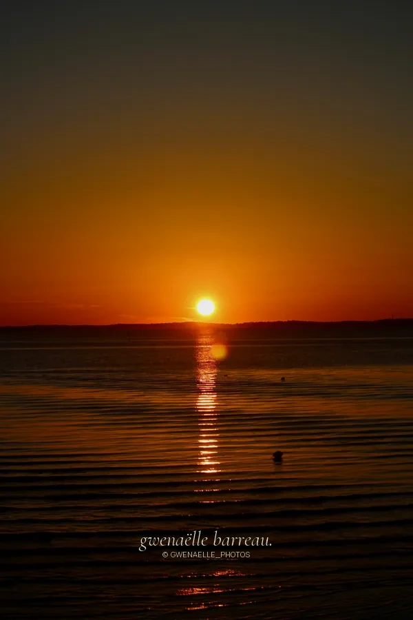 Soleil couchant et son reflet doré sur une étendue d'eau calme.